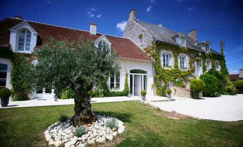 Domaine de la Blonnerie, maison d'hotes de charme Vallee de la Loire Domaine de la Blonnerie, maison d'hotes de charme Vallee de la Loire